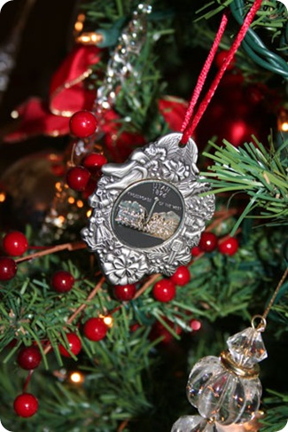 IMG_2354web IMG_2354web