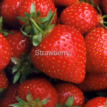 [strawberry (1)[84].jpg]