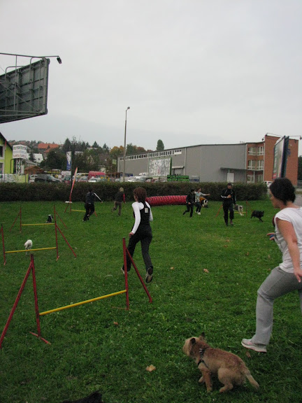 IMG_1277.JPG