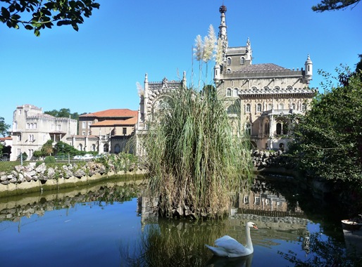 25-  Palácio de Buçaco-lago em frente com cisne