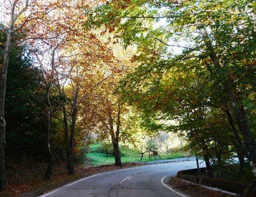 Fundão - estrada para Alpedrinha 2