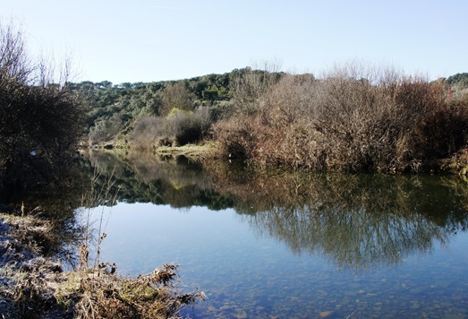 Idanha a Velha - rio Ponsul