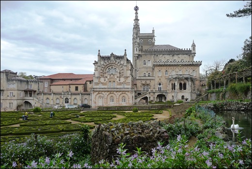 Buçaco - jardim do palácio - cisne 1