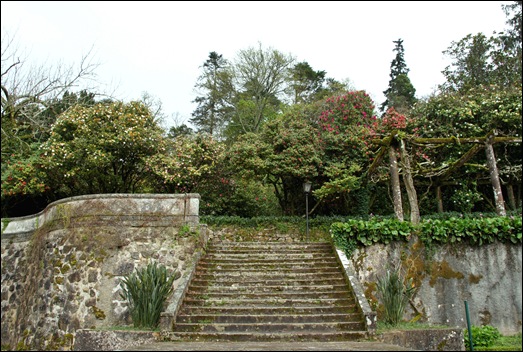 Buçaco - jardim do palácio - escadaria