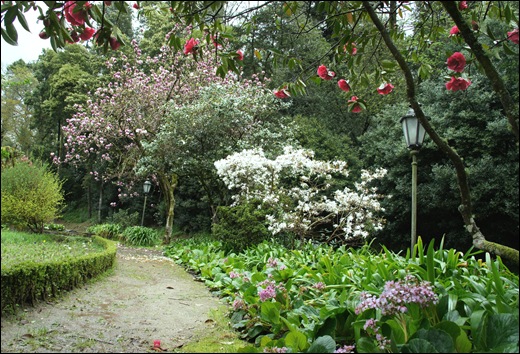 Buçaco - jardim do palácio 18
