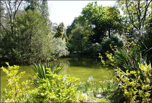 jardim serralves  - lago 1