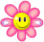 35.png