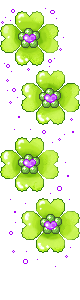 40.gif