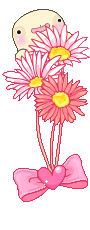 2.gif