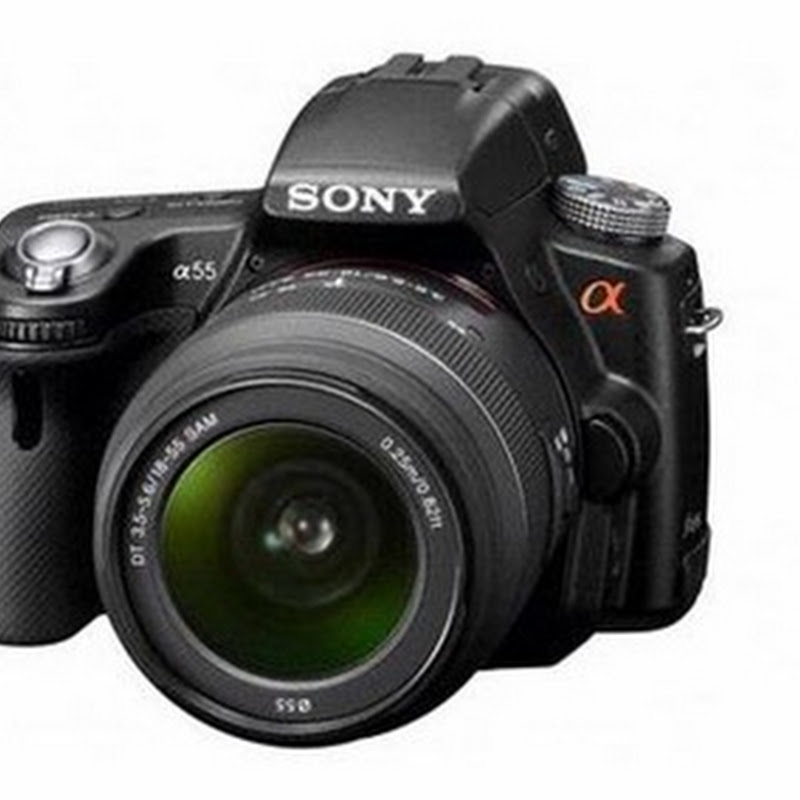 Sony Alpha 55 and Alpha 33: Best Buy DSLR Camera For Beginner