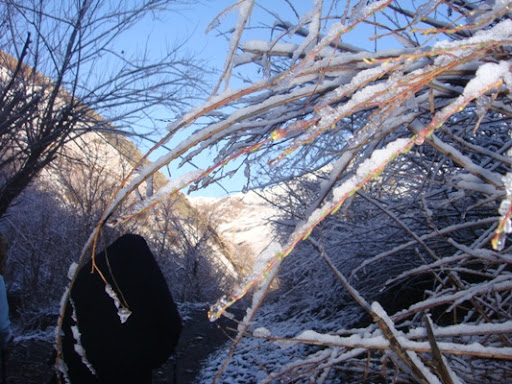 نشاط کوهستان 