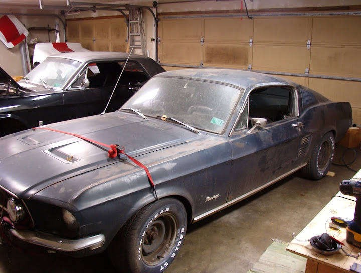 mustang%20006.jpg