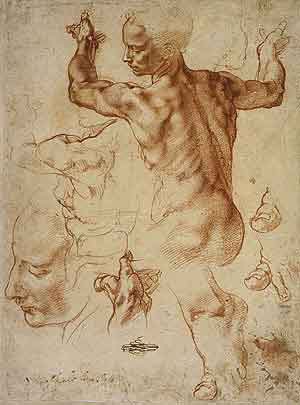 [Michelangelo-nude-man-sketch[3].jpg]