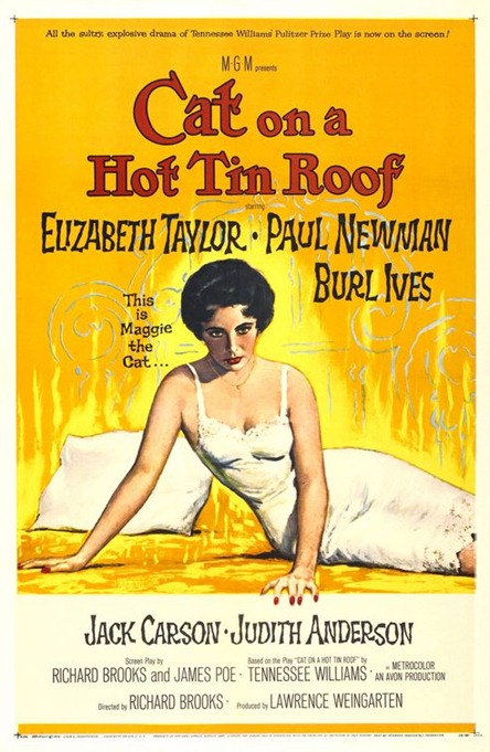 [cat_on_a_hot_tin_roof[2].jpg]