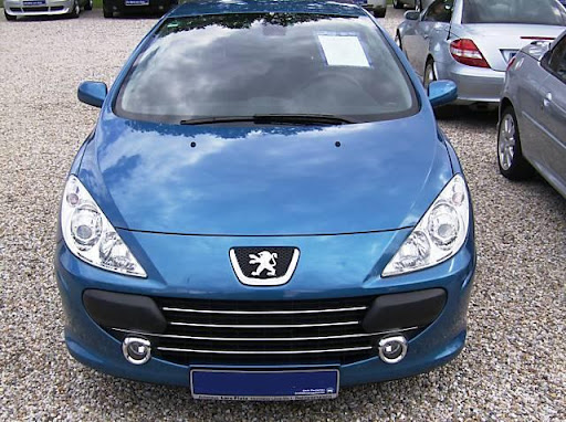 Peugeot 307 Hdi Fuel Filter. choice Peugeot+307+hdi