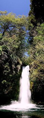 [Waterfall behind Tongariro holiday park[4].jpg]