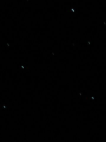 [Glowworms. Try to contain your excitement at the quality of this picture[4].jpg]