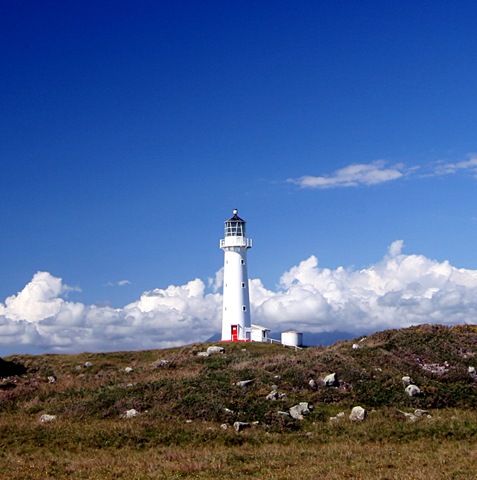 [Cape Egmont Lighthouse[3].jpg]