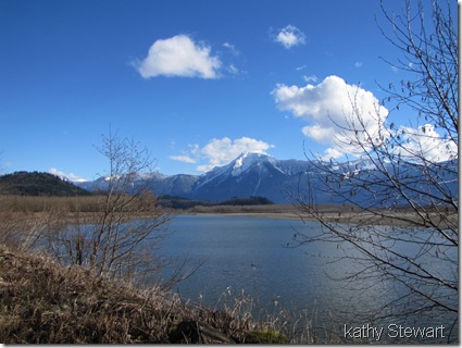 Fraser River and Mt. Cheam
