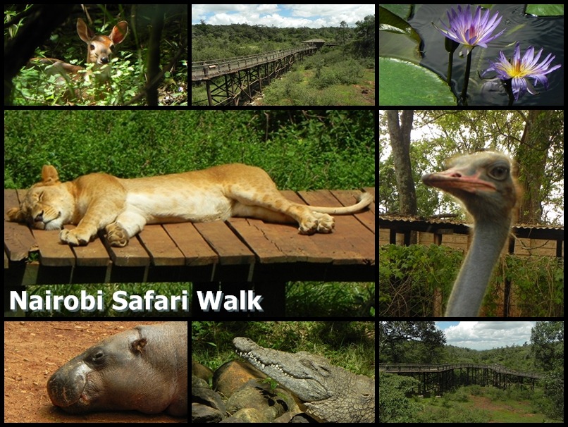 [Nairobi_Safari_Walk_2[5].jpg]