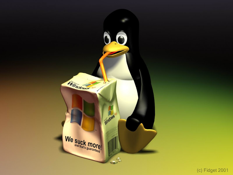ws_Windows_Sucks_1152x864.jpg