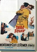 poster2-elia-kazan-wild-river-montgomery-clift-dvd-review