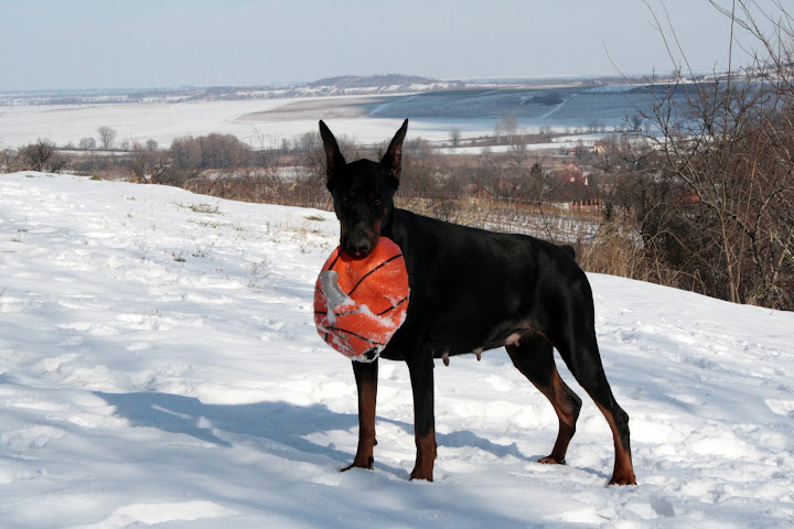 Zsuzsi%20ho%20meg%20en%20093.jpg