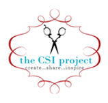 thecsiproject_com-logo-150