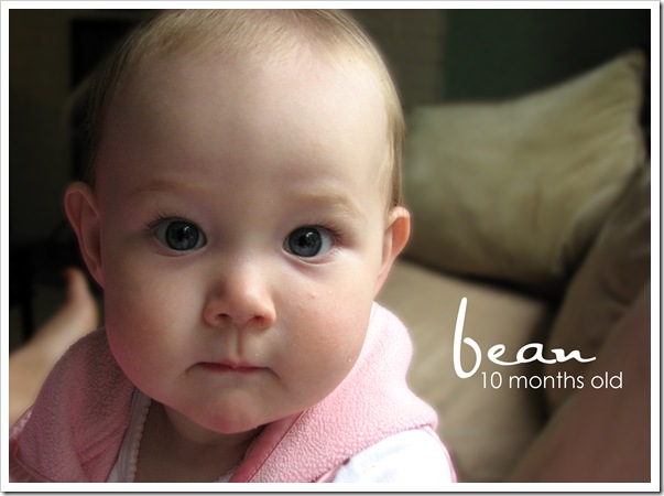 10 months bean