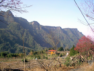 苗栗南庄蘿菈農場 @八大露營社活動