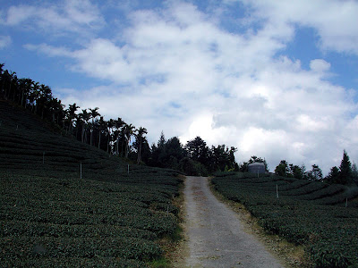 高雄那瑪夏拉比尼亞露營山莊 @98 年春節移動露營 (4-4)