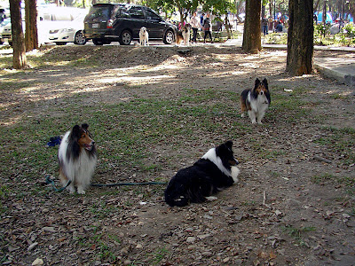 屏東三地門賽嘉營地 @98 年春節移動露營 (4-3)