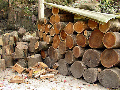 高雄那瑪夏拉比尼亞露營山莊 @98 年春節移動露營 (4-4)