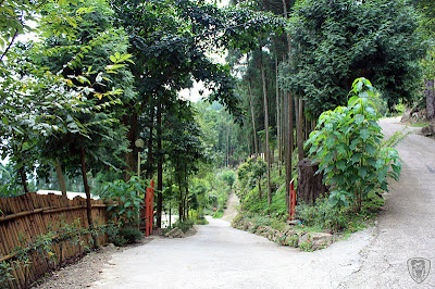 新竹五峰谷燕鳟魚養殖場露營區 @定點露營