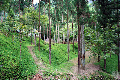 新竹五峰谷燕鳟魚養殖場露營區 @定點露營