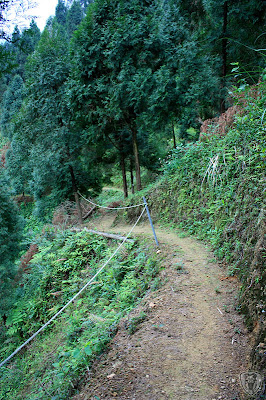 新竹北埔永茂森林山莊 @2009 第一屆古典燈爐聚會