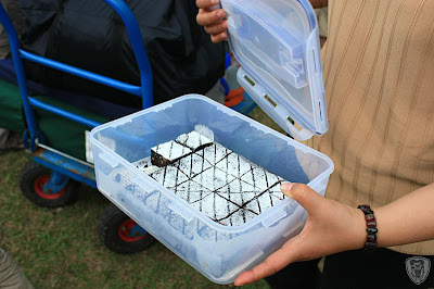苗栗南庄東風營地 @八大西餐廳