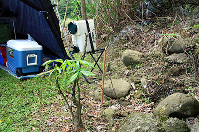 苗栗南庄東風營地 @八大西餐廳