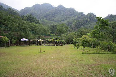苗栗南庄東風營地 @八大西餐廳