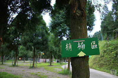 新竹北埔永茂森林山莊 @2009 第一屆古典燈爐聚會