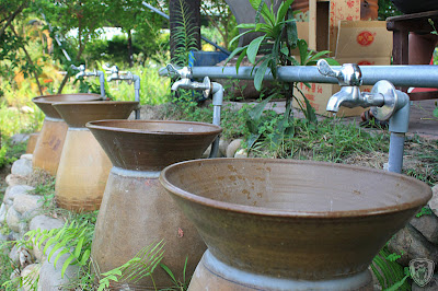 南投草屯本草奇花園 @八大露營社中/南區迎新活動