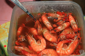 南投草屯本草奇花園 @八大露營社中/南區迎新活動