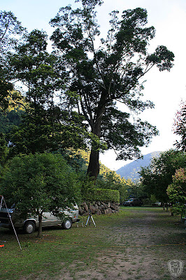 苗栗泰安龍安農園 @八大露營社活動
