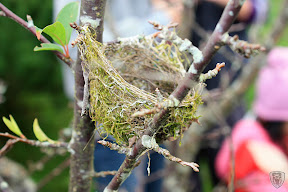 新竹五峰翡述景園 @定點露營