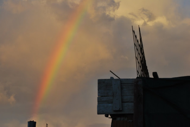 DSC_0052.JPG