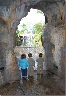 zoo trip 057