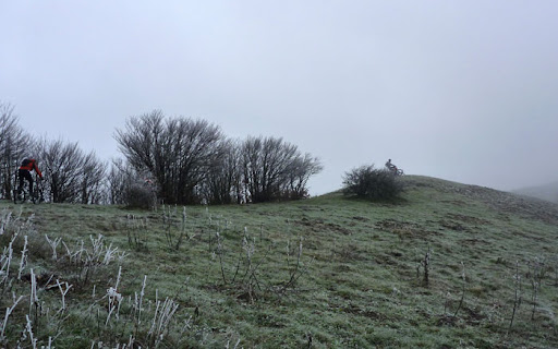 04.jpg