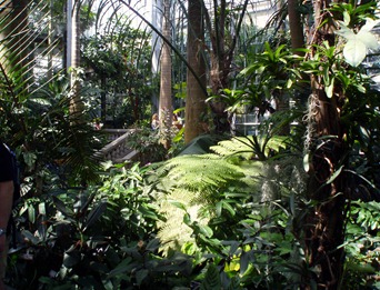 Botancial Gardens 11