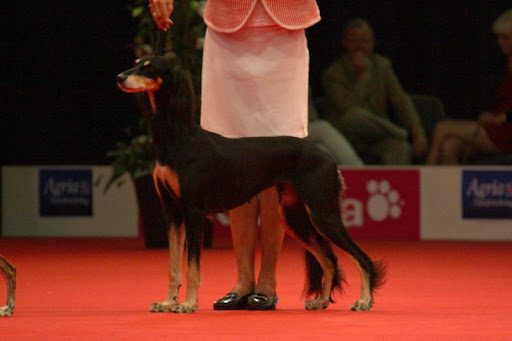 IMG_0312_resize.jpg