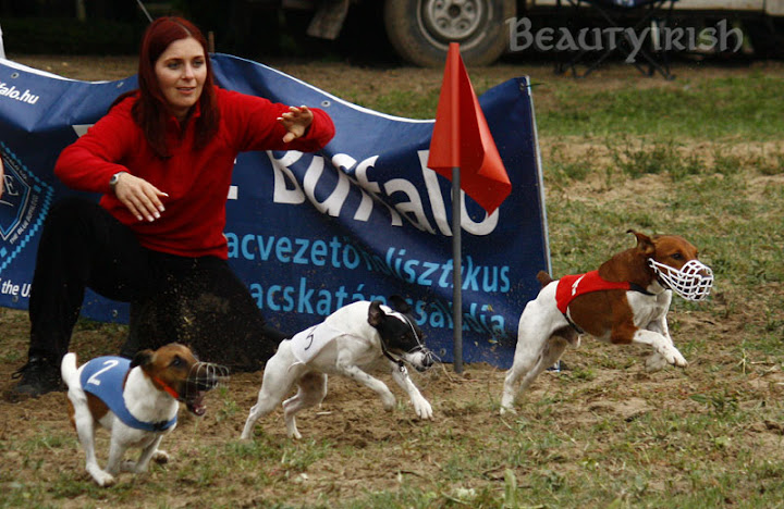 _MG_1090_.jpg